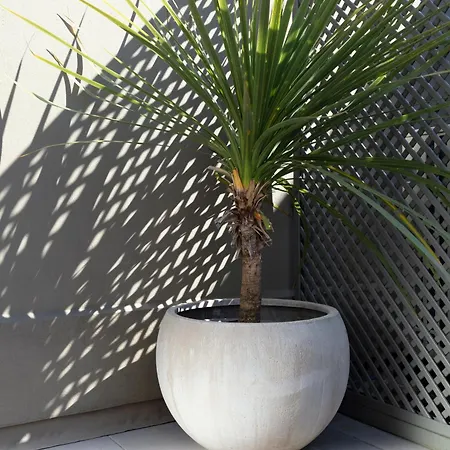 Shrubbery Mews Luxury *