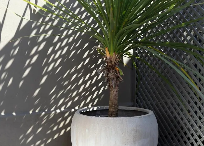 Shrubbery Mews Luxury *